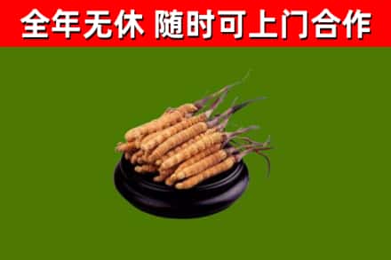 银州区烟酒回收冬虫夏草.jpg